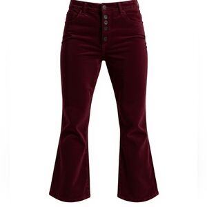 Current Elliott The Side Street Burgandy Velvet Pants Size 27